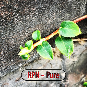 Pure - Radio Edit by RPN