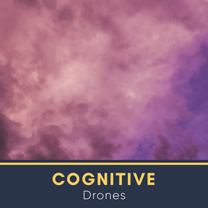 # Cognitive Drones album