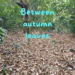 Between Sounds of Movements by Duffyz Ferrezd