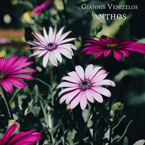 Anthos by Giannis Venizelos