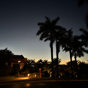 Streetlight by Brendan Antony