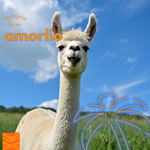 amorlio by Fretel Flow