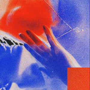 Rexon241 - GIFT IM GLAS