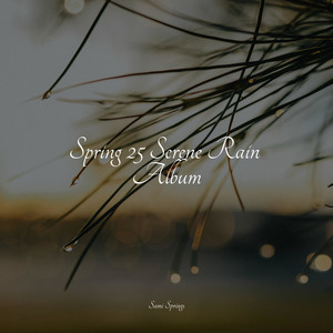 Spring 25 Serene Rain Album album