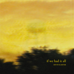 if we had it all by Devin Karter