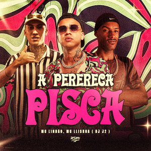 A Perereca Pisca by Mc Lindão, MC LLisboa, DJ J2