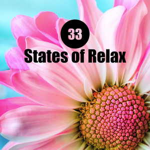 33 States of Relax: Best Songs for Sleeping, Relaxation, Calm Nature Music, Serenity and Calmness album
