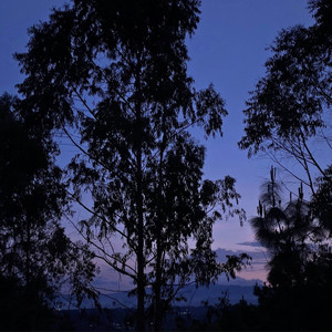 Caribbean Blue - Super Slowed by Pasítea