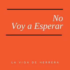 No Voy A Esperar by LA VIGA