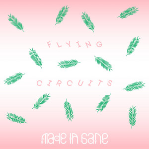 Flying Circuits - Mørkeby's ‘Bissi Zebra’ Remix by Made In Sane, Atella, Mørkeby