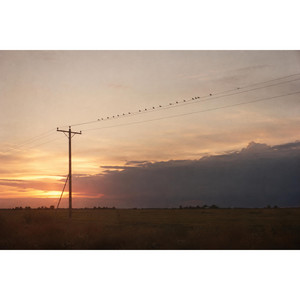 County Static by Lark & Wire