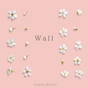 Wall by Charle Boirott