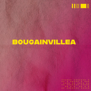 BOUGAINVILLEA
