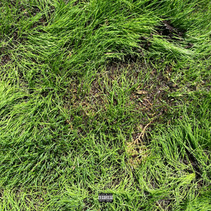 Portada de Capers