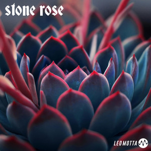Stone Rose by Leo Motta