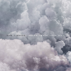 Never Leave Your Side - Sam Tinnesz