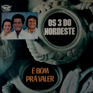 É Bom pra Valer by Os 3 do Nordeste