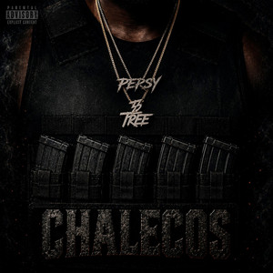 Persy — Chalecos (2026)