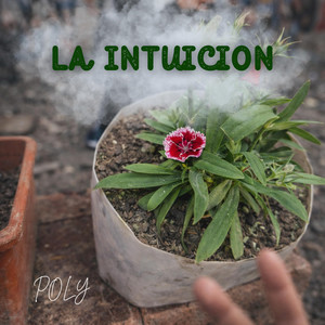 La intuicion by POLY