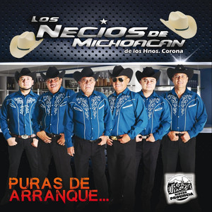 Los Necios de Michoacan - No Hay Novedad