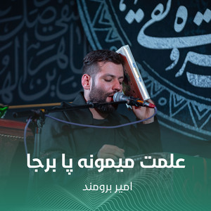 علمت میمونه پا برجا by امير برومند