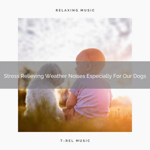 Stress Relieving Weather Noises Especially For Our Dogs album