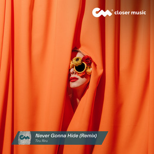 Never Gonna Hide - Remix by Tiru Riru