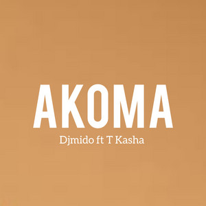 Akoma (feat. T kasha)