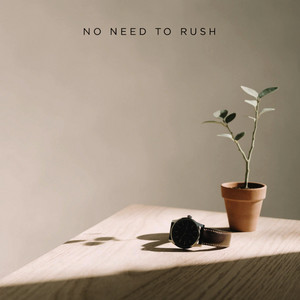 No Need to Rush by 1ntrig