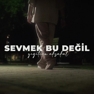 Sevmek bu değil