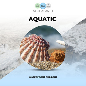 Aquatic Waterfront Chillout album