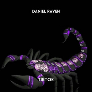 Tiktok - Radio Edit by Daniel Raven