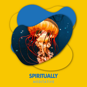 zZz Spiritually Meditative Ocean Music zZz album