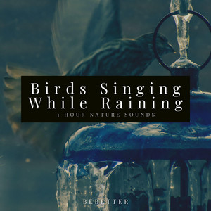 BeBetter - 1hour Relaxing Birds Singing While Raining