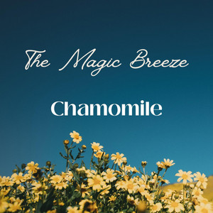 Chamomile by The Magic Breeze