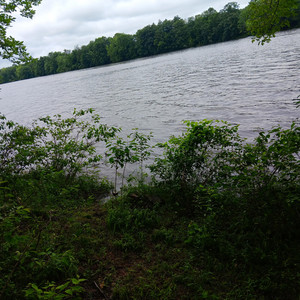 Khamaree - Do You Want My Love