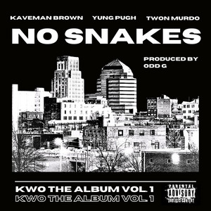 Portada de No Snakes