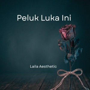 Peluk Luka Ini by Laila Aesthetic