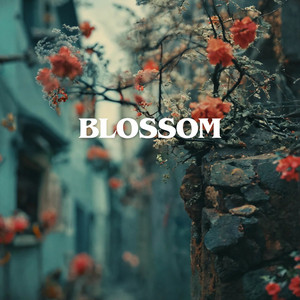 Blossom by LoFiBeats