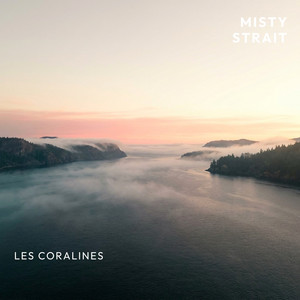 Misty Strait by Les Coralines