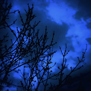 i want to feel you more by Lurt, .sadwave
