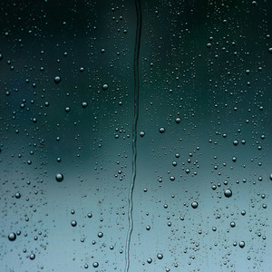 Rain on a Garden by Rock bottom porter