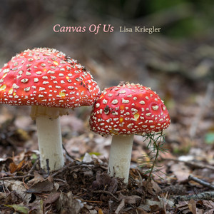 Canvas Of Us by Lisa Kriegler