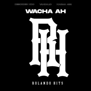 Wacha Ah by Vandalic, Desorden KDC, Karma 432