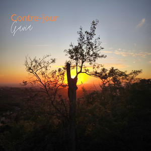 Contre-jour by Gavia
