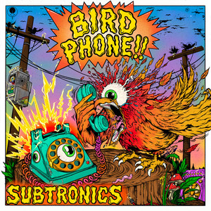Bird Phone cover art