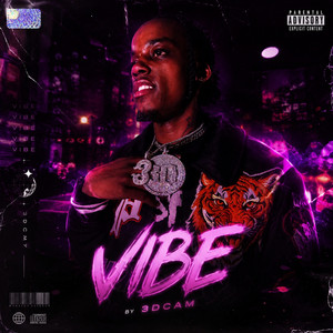Vibe by 3Dcam