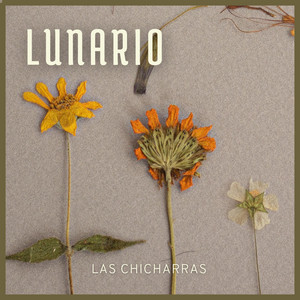 Lunario