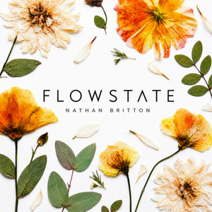 Flowstate by Nathan Britton, Nathan Dawkins, Barbot, JSPHYNX, Jihad Darwish