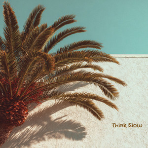Think slow by raymare